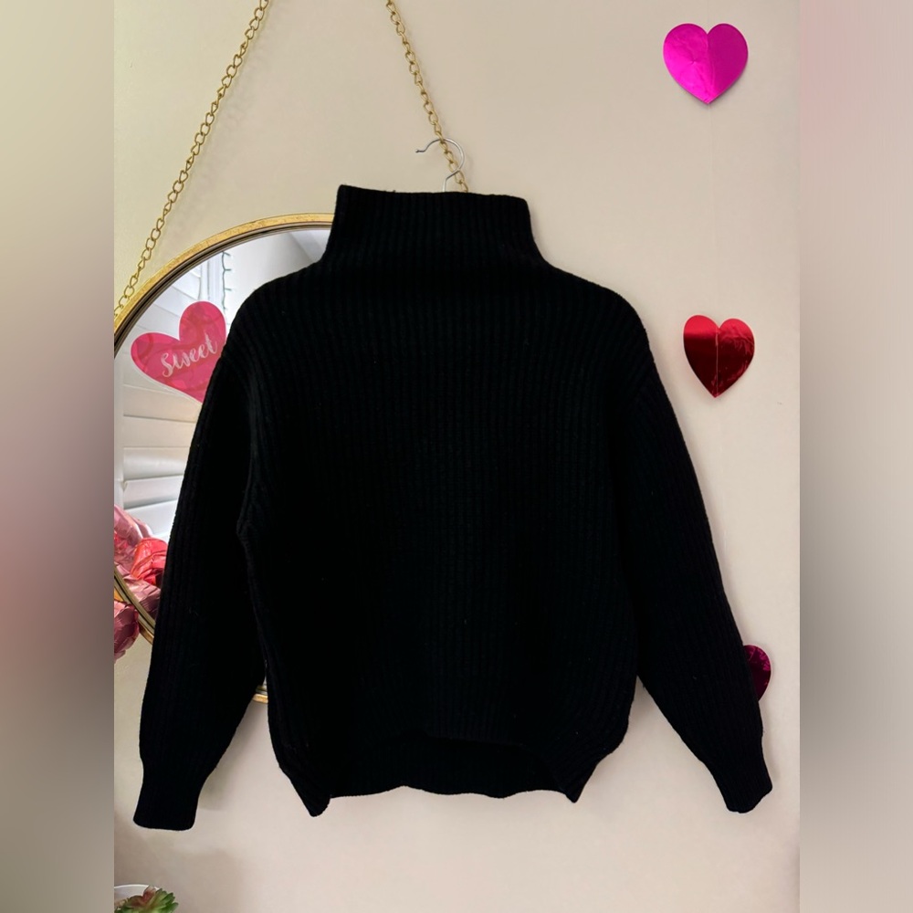 Aritzia Turtleneck